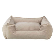 CAMA 